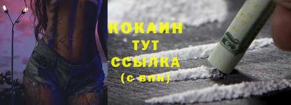 индика Лихославль