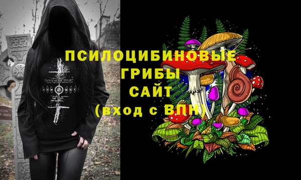 индика Лихославль