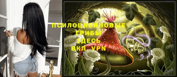 индика Лихославль