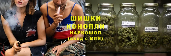 индика Лихославль