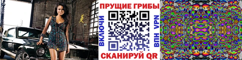 OMG как зайти  Прокопьевск  Псилоцибиновые грибы ЛСД 
